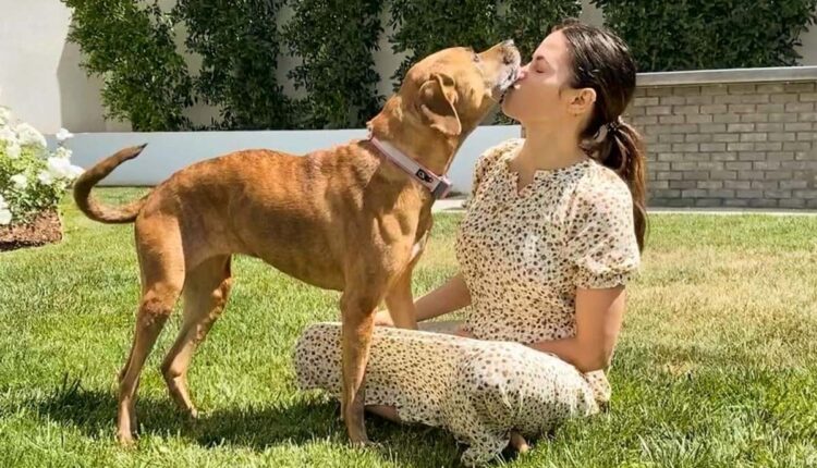 Jenna Dewan Mourns the ‘Sudden Loss’ of Dog Violet Mae: ‘The Sweetest Lady’