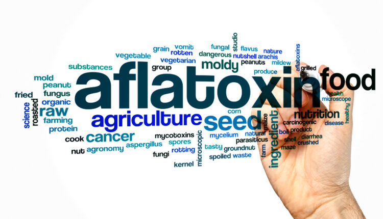 WHO calls for mycotoxin data in some peanuts, cereals and spices