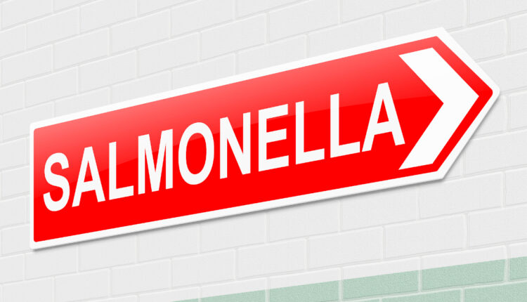 Salmonella dominates outbreaks in Australia