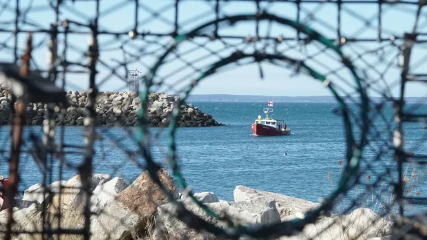 4 Mi’kmaw bands launch moderate livelihood fisheries with DFO approval