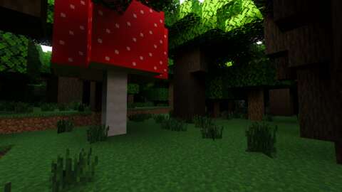 Minecraft Biome Guide