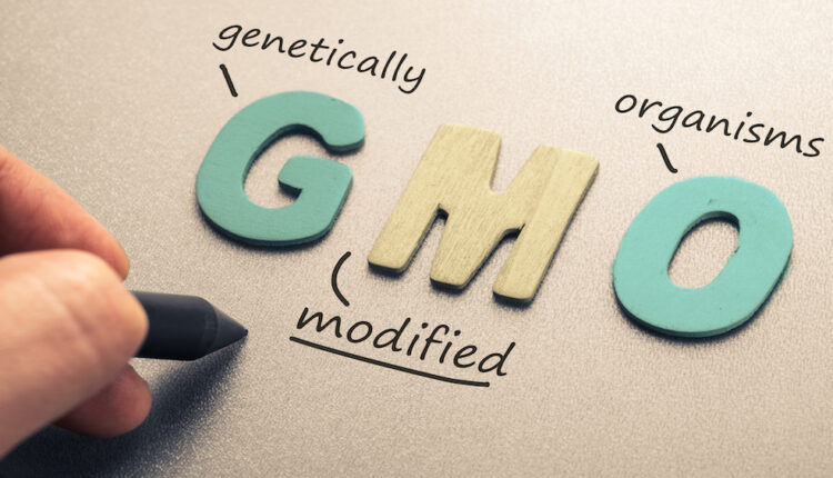 Report looks at how non-EU nations handle novel foods, GMOs