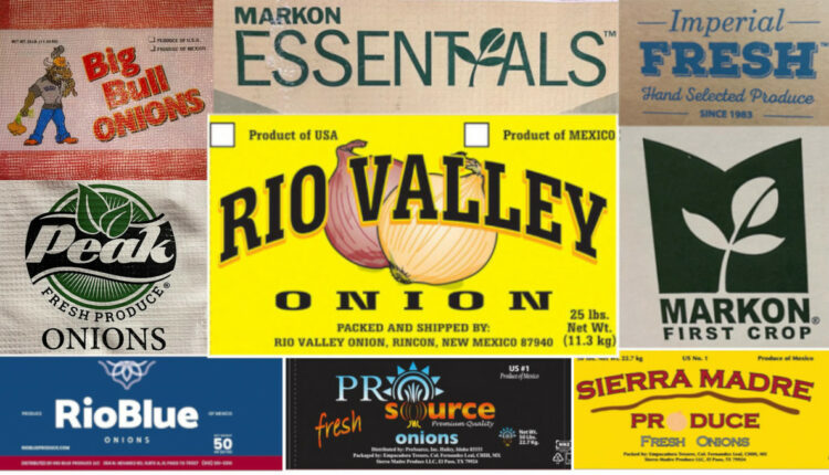 Onions linked to Salmonella outbreak recalled from states across the US and Canada