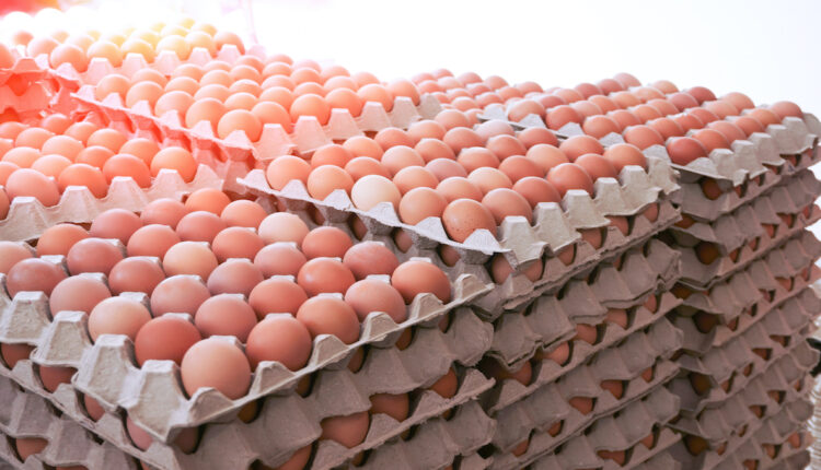 Face egg shortage or adopt national standard are choices for Massachusetts
