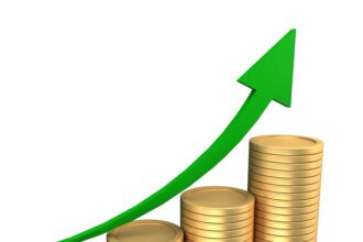 Essential Safeguards Every Growing Company Should Consider