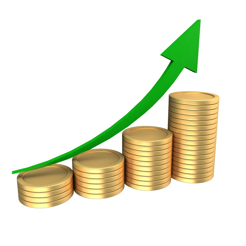 Essential Safeguards Every Growing Company Should Consider